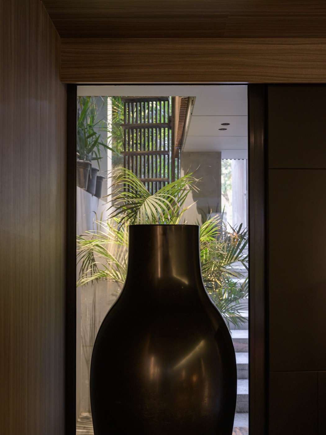 A tall dark vessel in a doorway, palms beyond