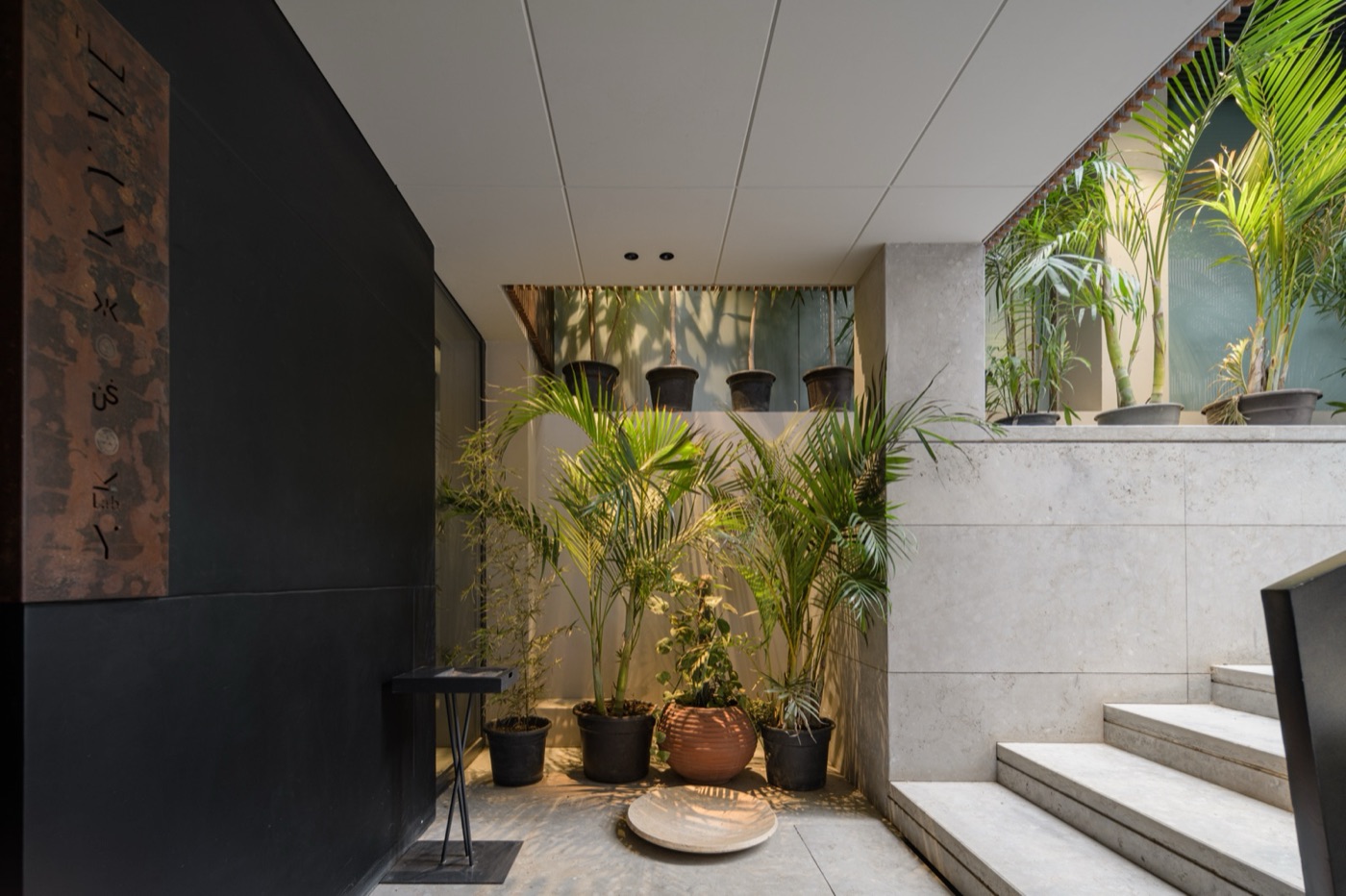 The showroom entrance court in Cairo: potted palms and a wide shallow bowl on pale stone, under filtered light